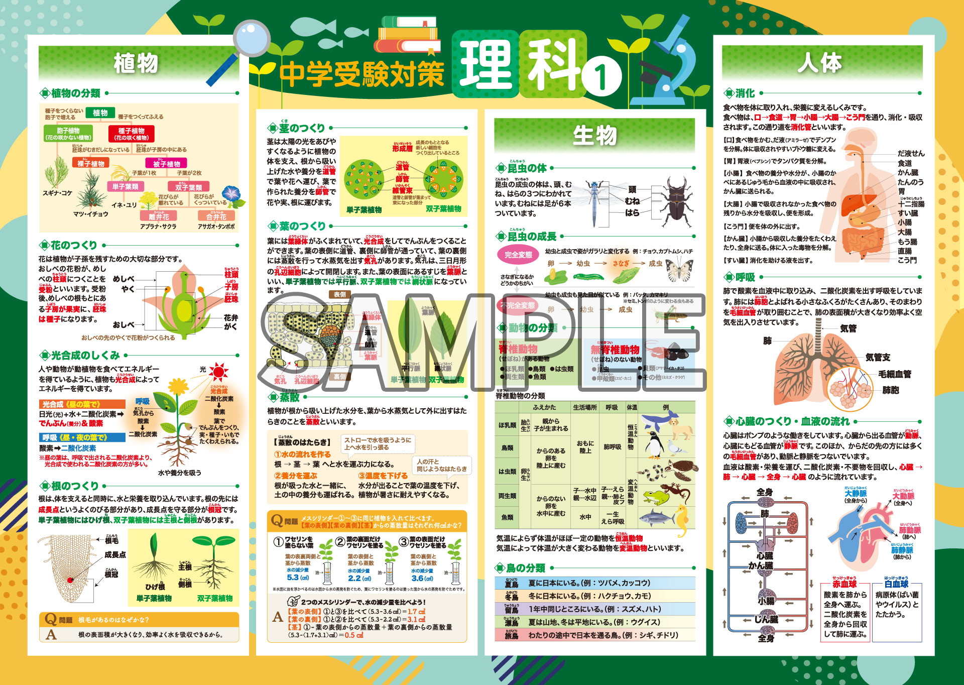 商品詳細 | 中学受験対策理科①-植物・生物・人体- | お風呂ポスター 